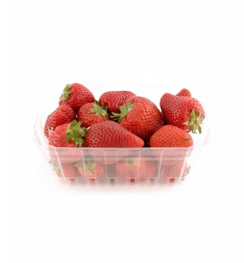 fresh strawberries are grown according to standards