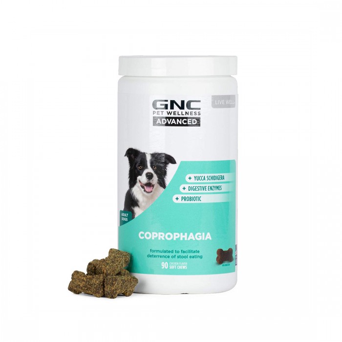 Pet Supplements for Dog